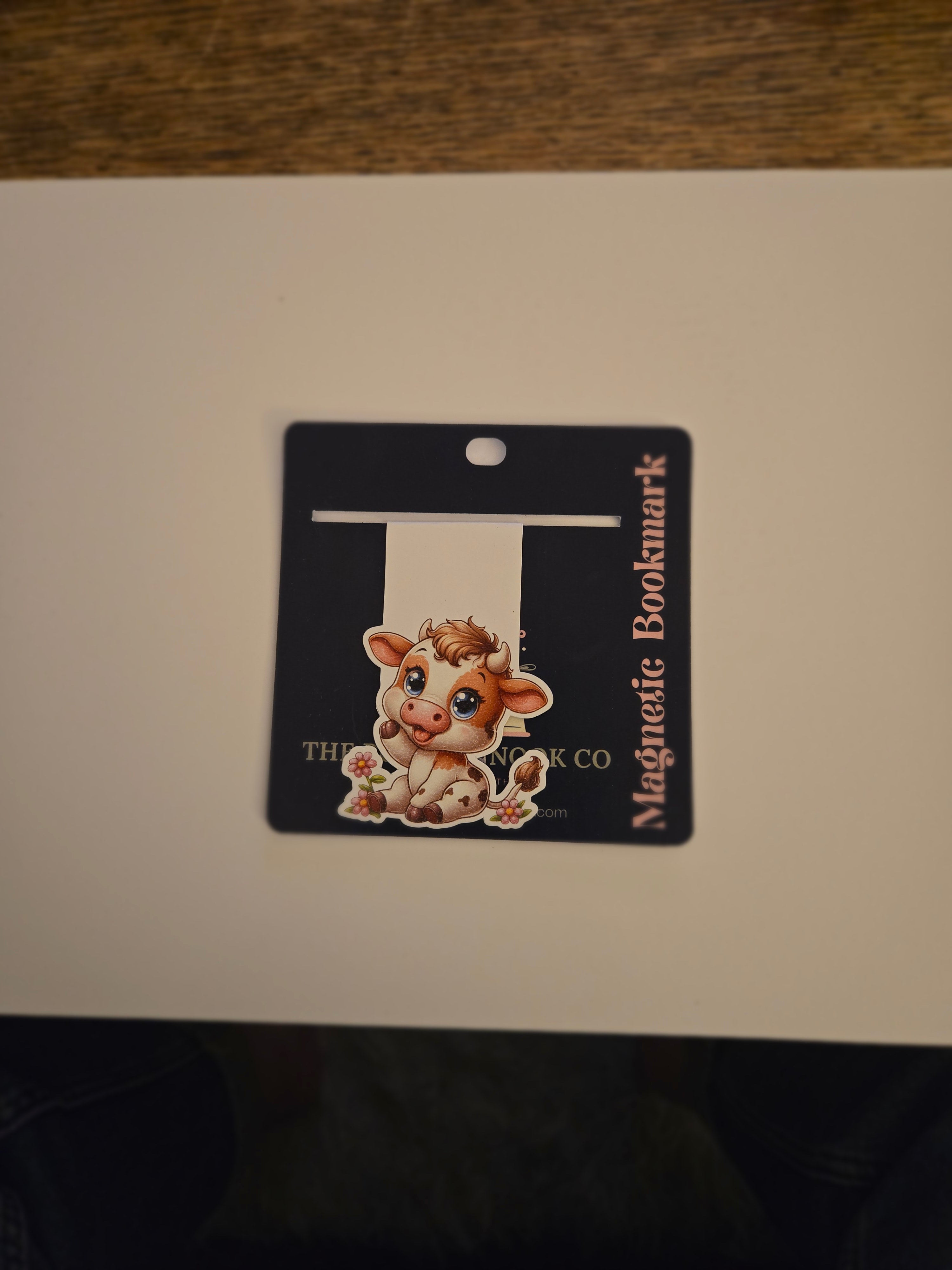Magnetic Bookmarks